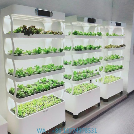 Iydroponic Automated Grow Syst - Home Automation Systems Diy review and price